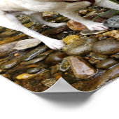 Geel lab, waterhond in een kreek poster (Hoek)