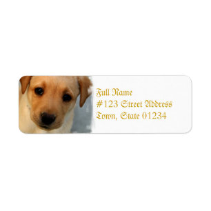 Geel label voor puppy Mailing