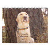 Geel labkalender - 2013 kalender (Hoes)