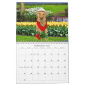 Geel labkalender - 2013 kalender (Feb 2027)