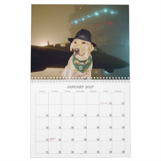 Geel labkalender - 2013 kalender (Jan 2027)