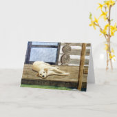 Geel Laboratorium met het Lege Wenskaart van de Kaart (Gele Bloem)