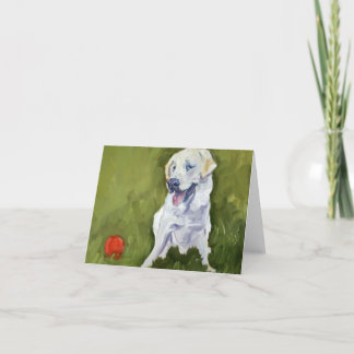 Geel Laboratorium met Rode Bal Kaart