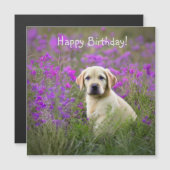 Geel Laboratorium Puppy Magnetic (Voorkant / Achterkant)