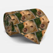 Geel laboratorium stropdas (Opgerold)