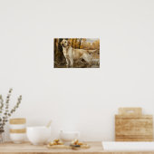 Geel Labrador jacht Poster, eendenjagers Poster (Keuken)