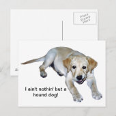 Geel labrador Puppy Briefkaart (Voorkant / Achterkant)