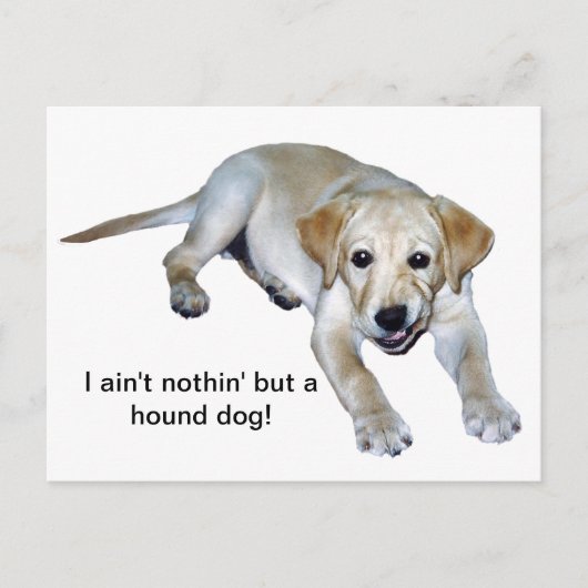 Geel labrador Puppy Briefkaart (Voorkant)