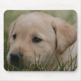 Geel labrador Retriever Muismat