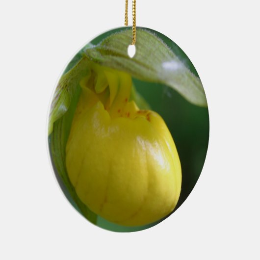 Geel Lady Slipper Flower Ornament (Rechts)