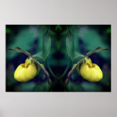 Geel Lady Slipper Orchid Flower Mirror Abstract Poster (Voorkant)