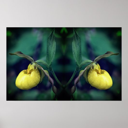 Geel Lady Slipper Orchid Flower Mirror Abstract Poster (Voorkant)
