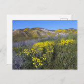 Geel landschap van de bloem briefkaart (Voorkant / Achterkant)