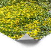 Geel landschap van de bloem poster (Hoek)