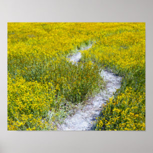 Geel landschap van de bloem poster