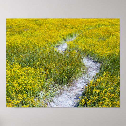 Geel landschap van de bloem poster (Voorkant)