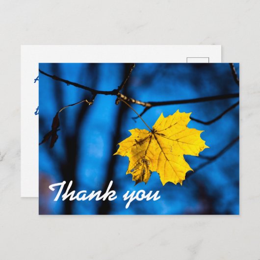 Geel leder op blauw briefkaart (Voorkant / Achterkant)