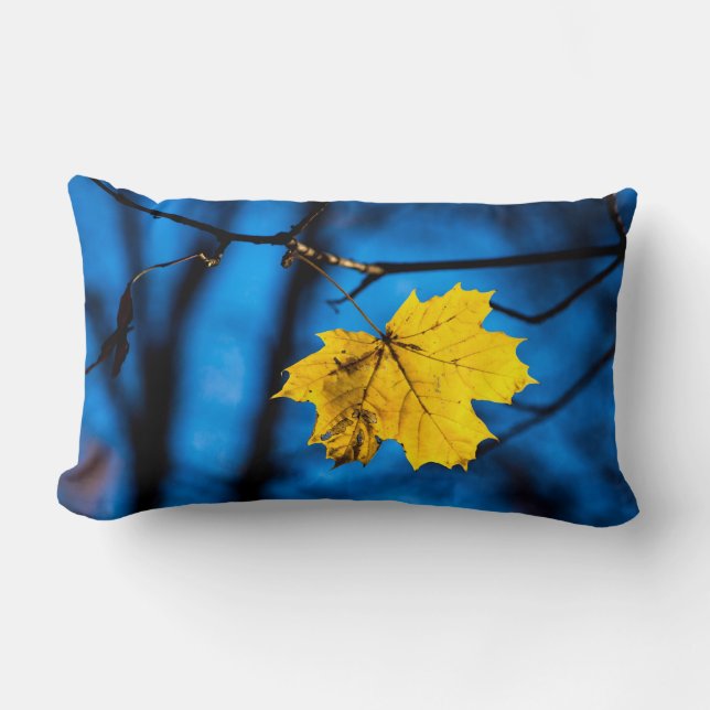 Geel leder op blauw kussen (Voorkant)