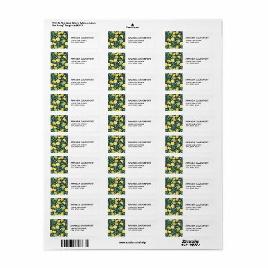 Geel lemon en groen Limoen fruitpatroon Etiket (Full Sheet)