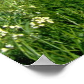 geel lenteveld in de bergen van de Cypriotische gr Poster (Hoek)