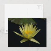 Geel Lotus Waterlily Briefkaart (Voorkant / Achterkant)