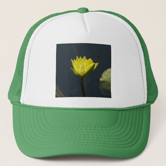 Geel Lotus Waterlily Pet (Voorkant)