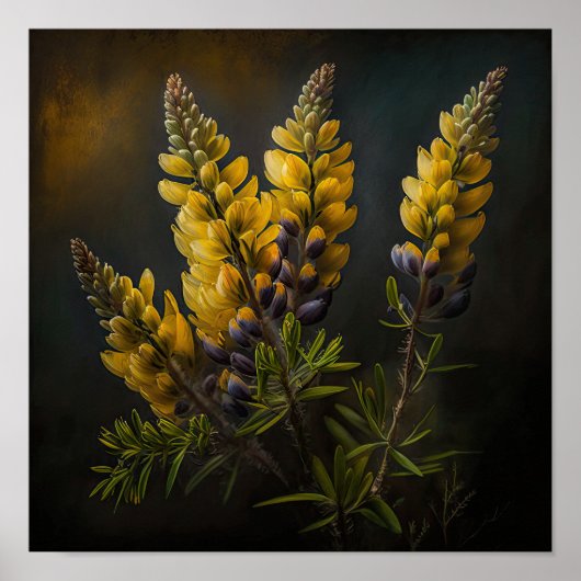 Geel Lupine Flower Art Print Poster (Voorkant)