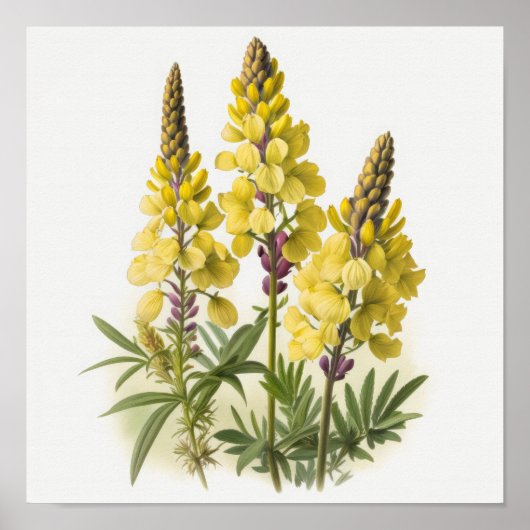 Geel Lupine Flowers Art Print Poster (Voorkant)