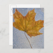 Geel maanblad onder water briefkaart (Voorkant / Achterkant)