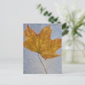 Geel maanblad onder water briefkaart (Staand voorkant)