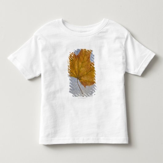 Geel maanblad onder water kinder shirts (Voorkant)
