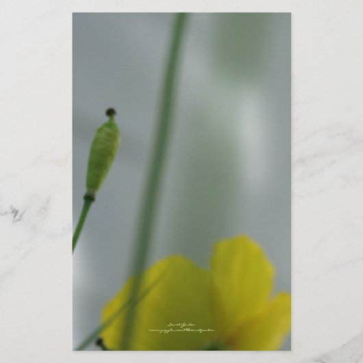 Geel maanzaad 12  pokerij briefpapier (Voorkant)