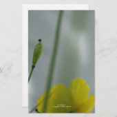 Geel maanzaad 12  pokerij briefpapier (Voorkant / Achterkant)