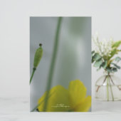 Geel maanzaad 12  pokerij briefpapier (Staand voorkant)