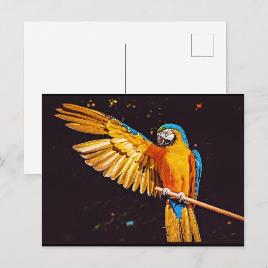 Geel Macaw Parrot Magnet Briefkaart (Voorkant / Achterkant)