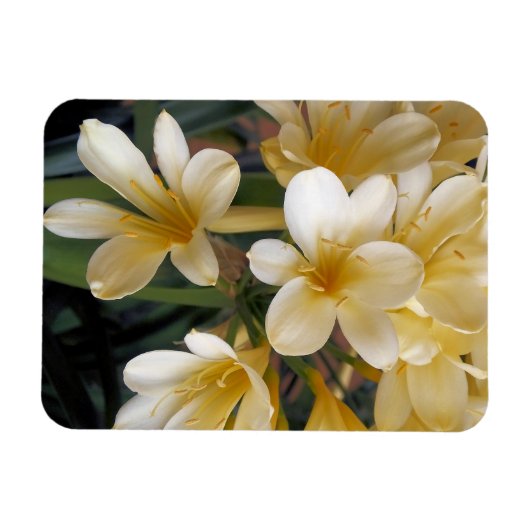 GEEL MAGNEET (Horizontaal)