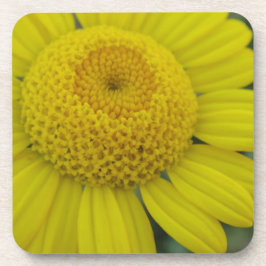  geel marguerite vierkant papier onderzetter