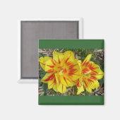 Geel met rode strepenventilator magneet (Voorkant / Achterkant)