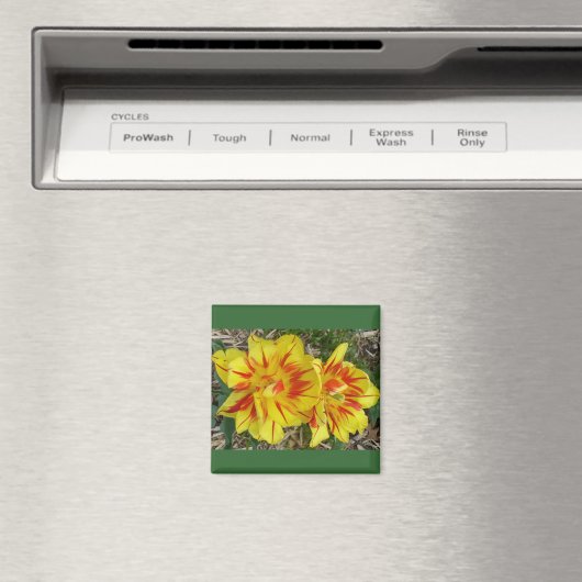 Geel met rode strepenventilator magneet (Insitu (Vaatwasser))