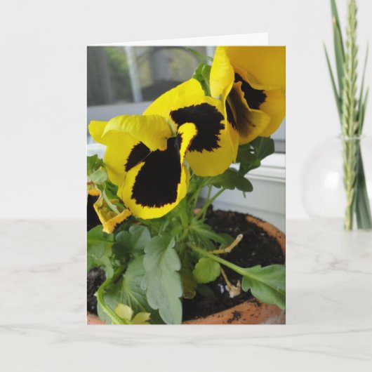 Geel met zwarte pansies kaart (Voorkant)