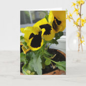 Geel met zwarte pansies kaart (Gele Bloem)