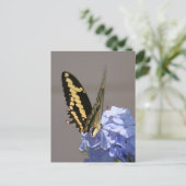 Geel Monarch Foto Briefkaart (Staand voorkant)