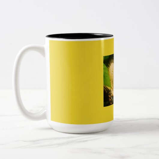 Geel Monarch, zwart en geel Tweekleurige Koffiemok (Links)