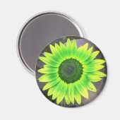 Geel N Green Sunflower Magnet (Voorkant / Achterkant)