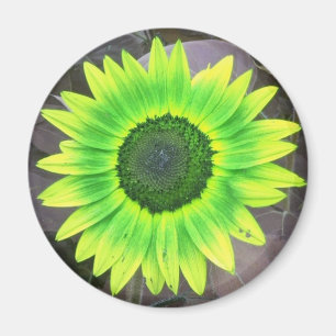Geel N Green Sunflower Magnet