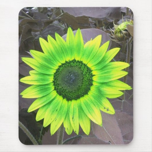 Geel N Green Sunflower Mousepad Muismat (Voorkant)