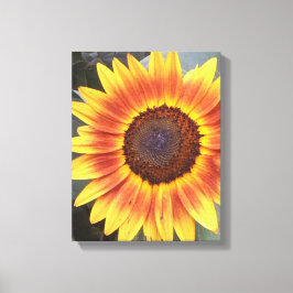 Geel N Oranje Zonnebloem Kouddoek Canvas Afdruk