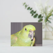 Geel-Naped Amazon Parrot-Briefkaart Briefkaart (Staand voorkant)