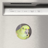 Geel-naped Amazon Parrot Magnet (Insitu (Vaatwasser))