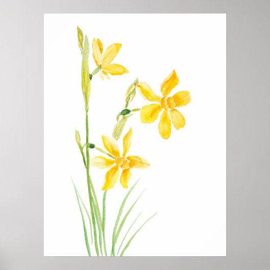 geel narcissen waterverf schilderend poster (Voorkant)